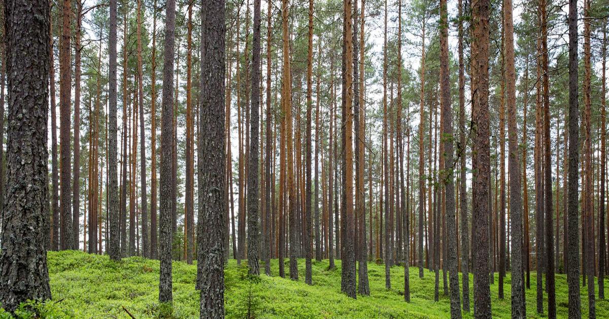 “酒香也怕巷子深”？AI智能官网如何为设计工作室打开增长之门