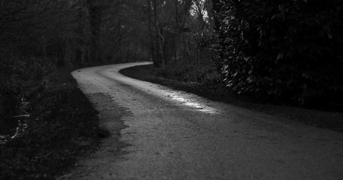 提升效率利器：Meisoft AI CMS 助力企业实现网站自动化运营