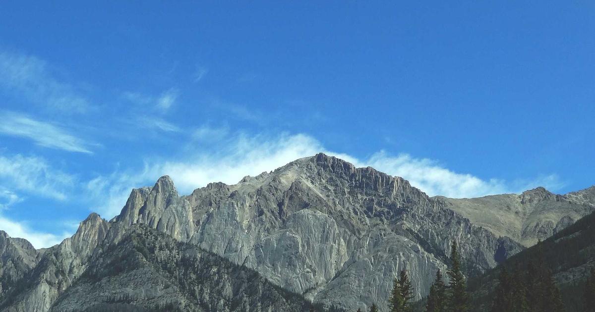 MeisoftAICMS外贸独立站：从运营到获客，全程自动化运营